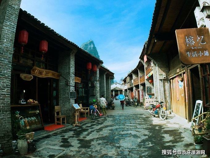 拯救小萌虎